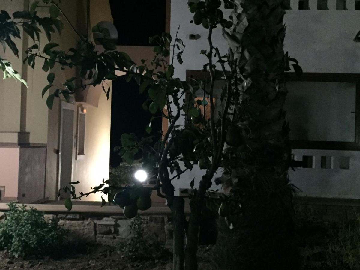 Toulipa Rooms Agia Ermioni Exterior foto